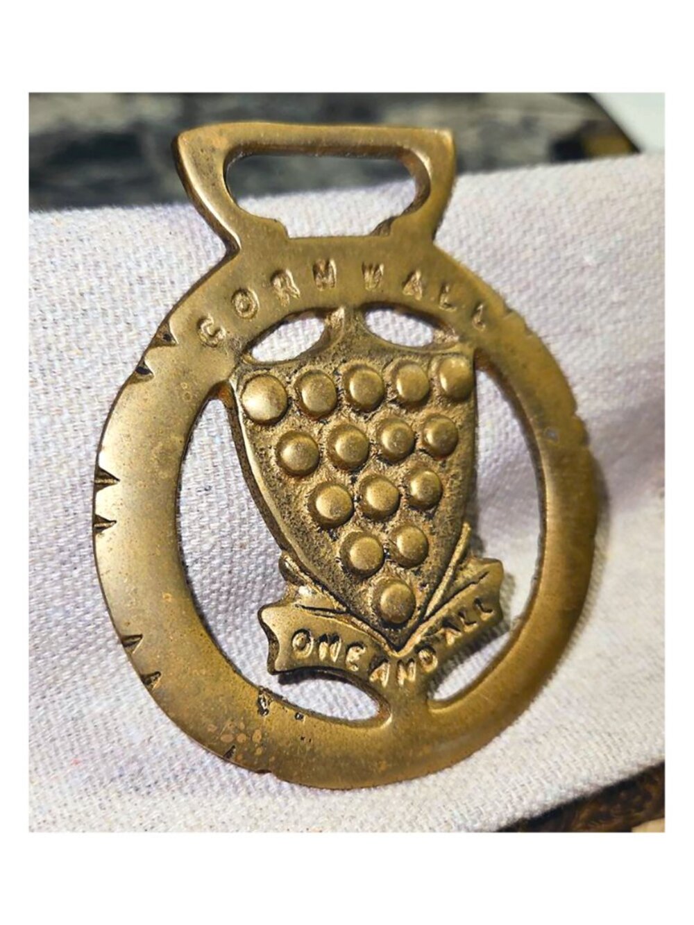 Cornwall County Insignia Antique Horse Brass Medallion Rare Equine Collectible - Picture 2 of 6